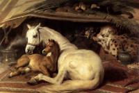 Landseer, Sir Edwin Henry